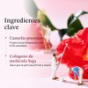 ROUND LAB Camellia Collagen Mask, 30min Hydrogel Mask, Quick Hydration,