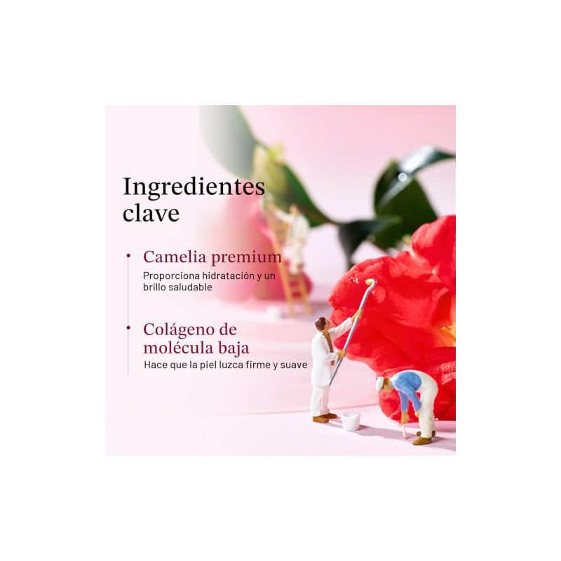 ROUND LAB Camellia Collagen Mask, 30min Hydrogel Mask, Quick Hydration,
