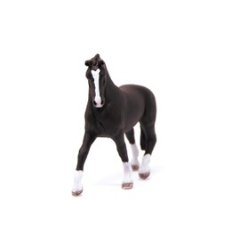 Hanoverian mare, Black