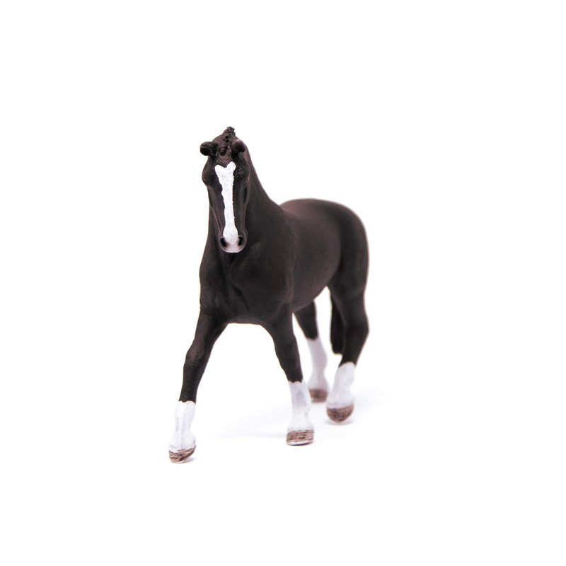 Hanoverian mare, Black