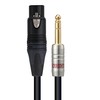Providence R301 CF/3PH Microphone Cable 5.9" (Canon Female/Stereo Phone)