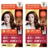 Elastine Salon de Color & Gray Hair Dyeing Cream, Orange Brown, 2 Pieces / 엘라스틴 살롱 드 컬러 앤 새치 염색 크림, 오렌지브라운, 2개