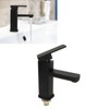 Sink Faucet Black Single Handle Single Hole Cold Stainless Steel