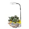 Ground-plugged Plant Light Timable Dimmable Angel Ring Full Spectrum Imitation