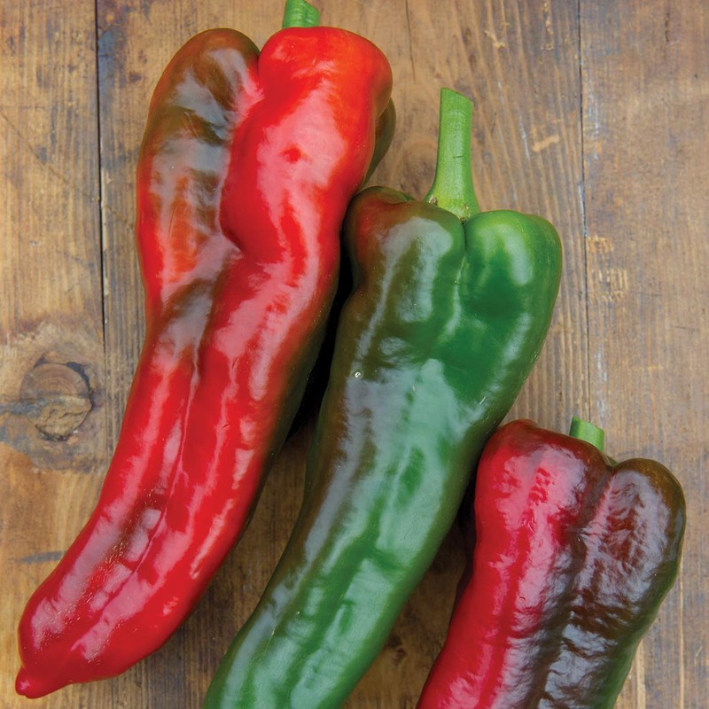 Burpee Thunderbolt' Hybrid Sweet Italian Roasting Pepper, 20 seeds