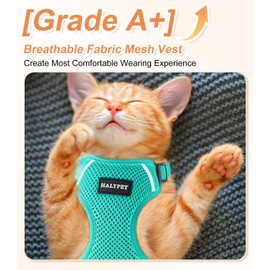 Halypet Cat Harness and Leash Set [ MAX Safety Third Generation ] Escape Proof Soft Adjustable Cat Leash Breathable Comfortable Vest Easy to Wear Kitten Harness for Outdoor Walking
