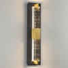 WOSHITU LED Wall Sconce Light: 19 Inch Black & Gold