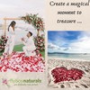 Flyboy Naturals Valentine's Red Rose Petals -15 Cups of Preserved