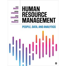 Human Resource Management: People, Data, and Analytics