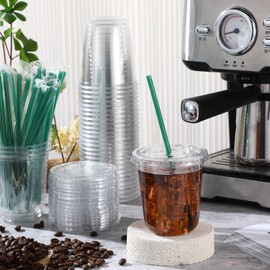 Baderke 25 Set Plastic Cups with Lids and Straws, Disposable Plastic Iced Coffee Cup for Cold Beverage Juice Smoothie Crystal for Coffee Shops Party Catering(Clear,14 oz)