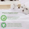 Superior Organic Cotton 300 Thread Count Bed Sheet Set, Includes