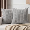 Kevin Textile Set of 2 Decorative Pillows Covers for Couch