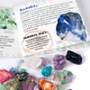 Rock and Gemstone Box - A Great Collection of Genuine