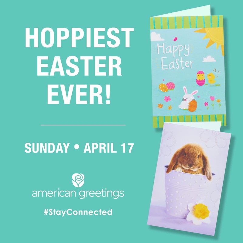 American Greetings Easter Party Supplies, Paper Dessert Napkins (50-Count)