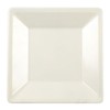 TrueCraftware- 4” x 4” Square Plate Passion Pearl Color Melamine