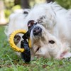 Tonka 3-Ring Tug Outdoor Dog Toy, 10.5 Inch Ring Dog