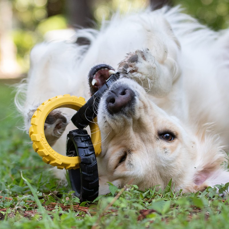 Tonka 3-Ring Tug Outdoor Dog Toy, 10.5 Inch Ring Dog