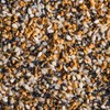 McCormick Everything Bagel All Purpose Seasoning, 4.8 oz (Pack of