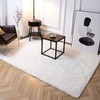 TWINNIS Super Soft Shaggy Rugs Fluffy Carpets 4x5.9 Feet, Indoor