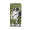 Canetti Mini Magnet Frame - Picture Frames with Silver Black