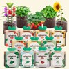 Easy Grow Plant Growing Kit Tomato Strawberry Coriander Basil Cultivation 07Lemon Balm