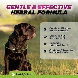 Natural Dewormer for Dogs | 100% Natural | Contains 3 Medicinal Herbs | Supports Intestinal & Gut Health | Gentle & Effective Formula