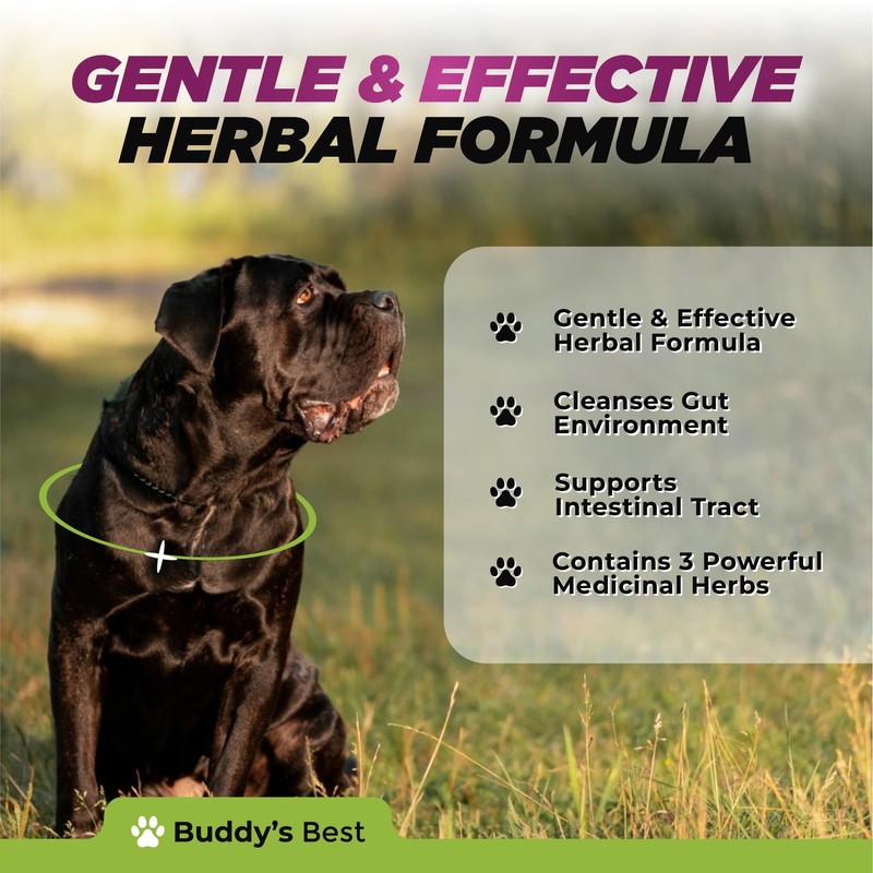 Natural Dewormer for Dogs | 100% Natural | Contains 3