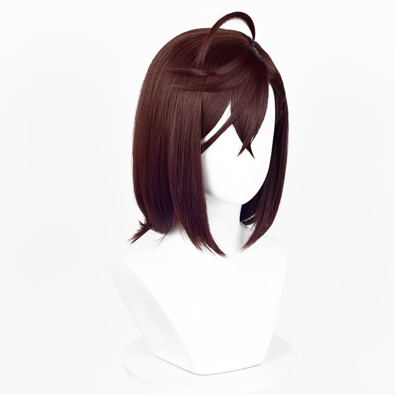 Aicos Momo Ayase Cosplay Wigs for Women Brown Straight Wig