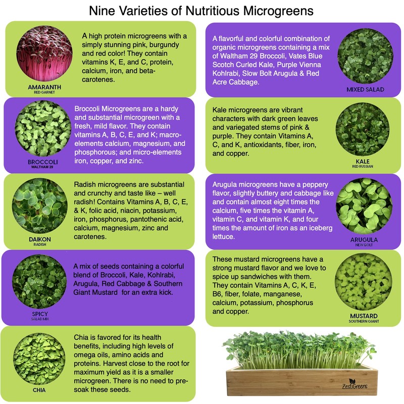 Microgreens Kit Refills with 9 Plant Mats & 9 Types