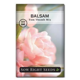 Sow Right Seeds - Balsam Tom Thumb Mix Flower Seeds for Planting - Indoors or Outdoors - Non-GMO Heirloom Packet with Instructions to Plant in Your Garden - Impatiens - Colorful Blooms (1)