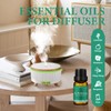 FUHITIM Essential Oils Blends Set for Diffusers for Home, Aromatherapy