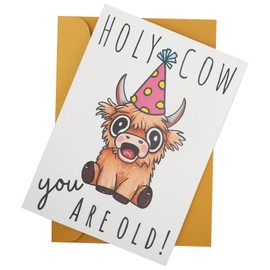 Wasise Highland Cow Birthday Card - Funny Highland Cow Birthday Cards, Humorous Scottish Animal Card With Envelope, Valentine Cards, Funny Cute design gifts for women friend Daughter Sister Teacher