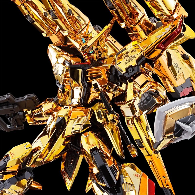 RG 1/144 Akatsuki Gundam Shiranui Pack & HG Zeus Silhouette