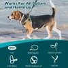 PetBonus Dog Collar Safety Clip, Waterproof Collar Backup Safety Strap
