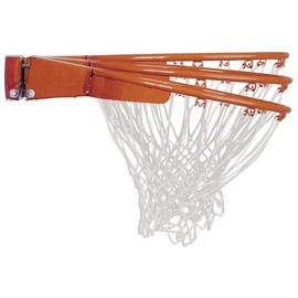 Lifetime Slam-It Pro Basketball Rim, 18 Inch