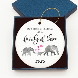 Our First Christmas as a Family of 3 Elephant 2025 Christmas Ornament Growing Family of Three Mama Papa Baby New Parents Present Family Circle Ceramic with Gift Box (Family of 3)