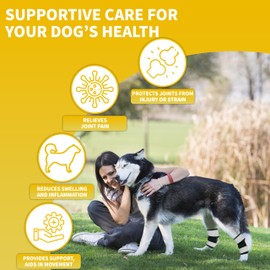 AGON Dog Rear Brace Pair Hock Joint Brace with Metal Strings and Reflective Wraps Compression Straps Canine Back Leg Protects Wounds. Heals Prevents Injuries Sprains Loss of Stability by Arthritis