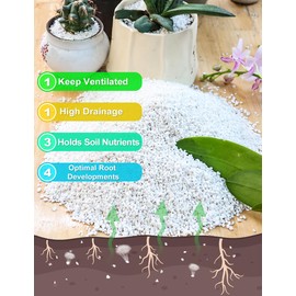 TOYPOPOR TOYPOPOR Perlite for Plants, 3-6mm Organic Perlite for Gardening, Perlite for Plants Indoor, Soil Additive Conditioner Mix Improve Drainage and Ventilation Promote Root Growth and Soil Health 1qt