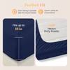 Ashton Sheets 100% Egyptian Cotton Sheets Queen Size Bed Set