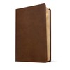 NLT One Year Chronological Study Bible (LeatherLike, Rustic Brown)