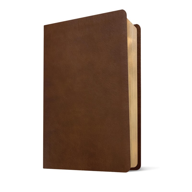 NLT One Year Chronological Study Bible (LeatherLike, Rustic Brown)