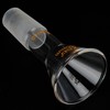 XCD Glass Powder Funnel, Short Stem Borosilicate Glass Filter Funnel