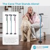 HurryCane HCANE-PP-C2 Freedom Edition Foldable Walking Cane with T Handle,