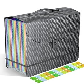 Vanulee 25 Pockets File Organiser Box File Folder Document Organiser with Handle,Expanding Filing Folders Concertina Files for Paperwork,Bill Receipt Paper Organiser for Home School Office,2X Tabs,A4