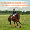awliye Breathable Mesh Horse Fly Boots, Fly Boots for Horses