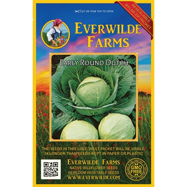 Everwilde Farms - 1 Oz Early Round Dutch Cabbage Seeds - Gold Vault