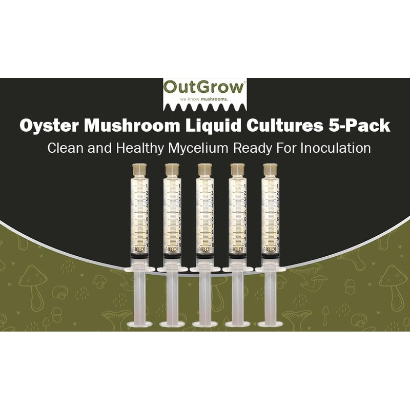 Oyster Mushroom Liquid Cultures 5-Pack
