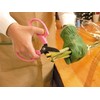 ARS Corporation FP-17-P Commercial Flower Scissors, Fleur (Pink)