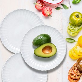 VBC Casa Incanto Scallop Salad Plate 21cm 2P Gift Set / 브이비씨까사 인칸토 스칼롭 샐러드접시21cm 2P 기프트 세트