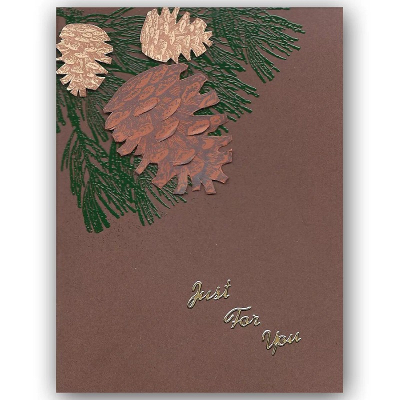 Sweet Grass Stamps PINE CONE Large unmounted rubber stamp, winter,